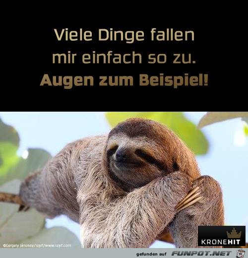 Viele Dinge Viele Dinge