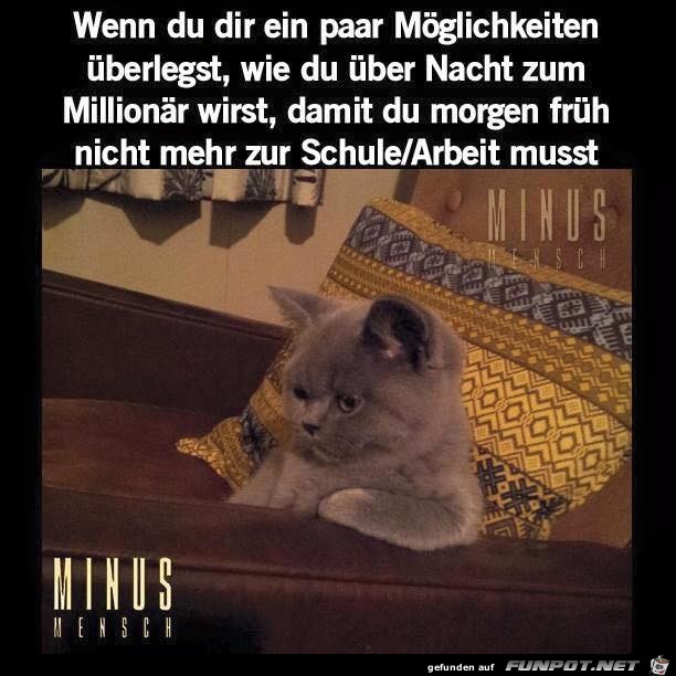 Wenn du dir ein paar Moeglichkeiten Wenn du dir ein paar Moeglichkeiten