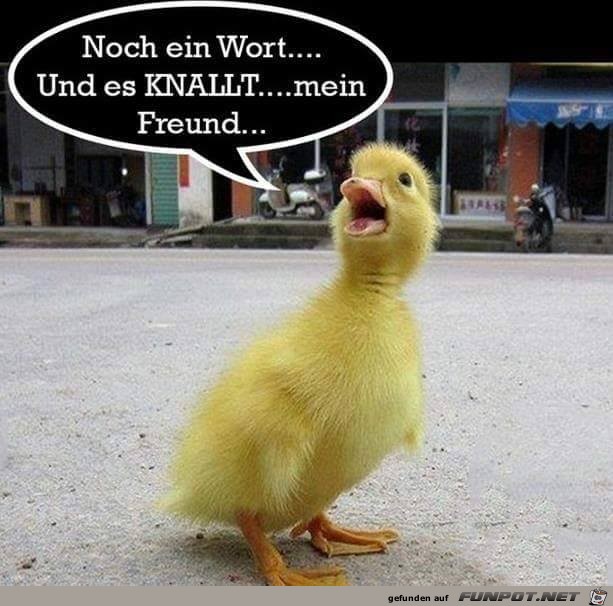 Noch ein Wort