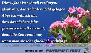 Dieses Jahr ist schnell verflogen Dieses Jahr ist schnell verflogen