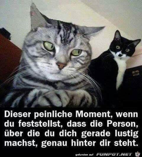 Dieser peinliche Moment Dieser peinliche Moment