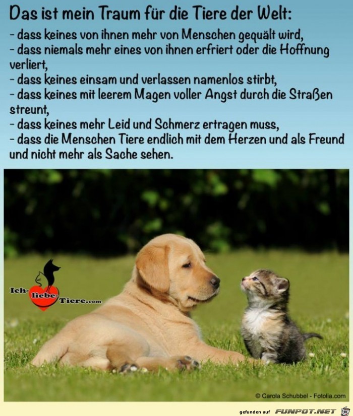 Das ist mein Traum Das ist mein Traum