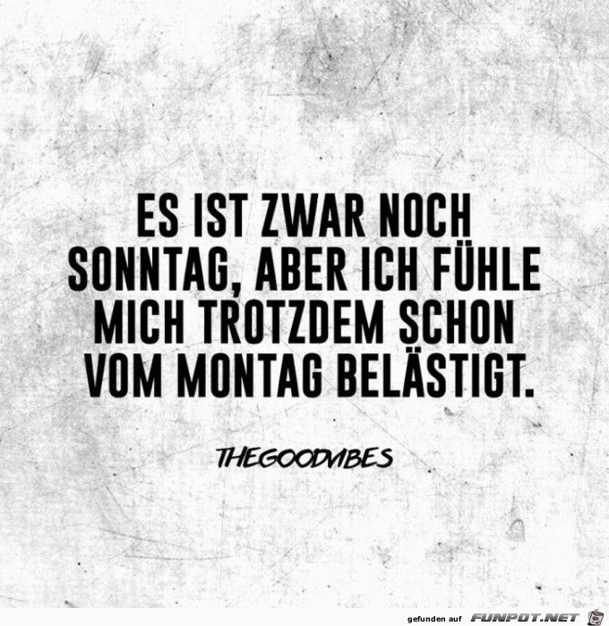 Noch Sonntag Noch Sonntag