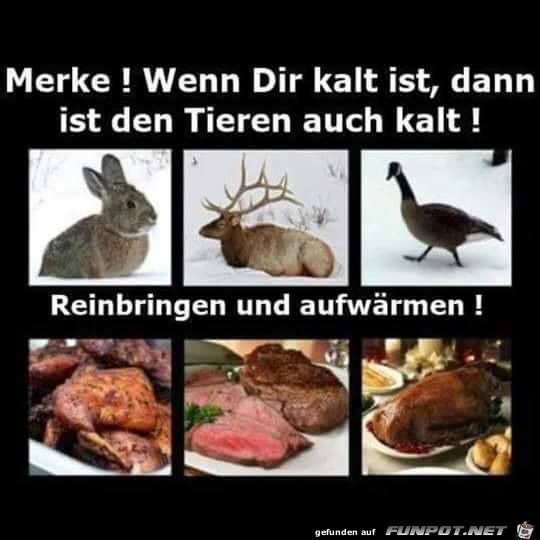 Merke Merke