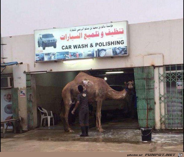 Carwash Meanwhil