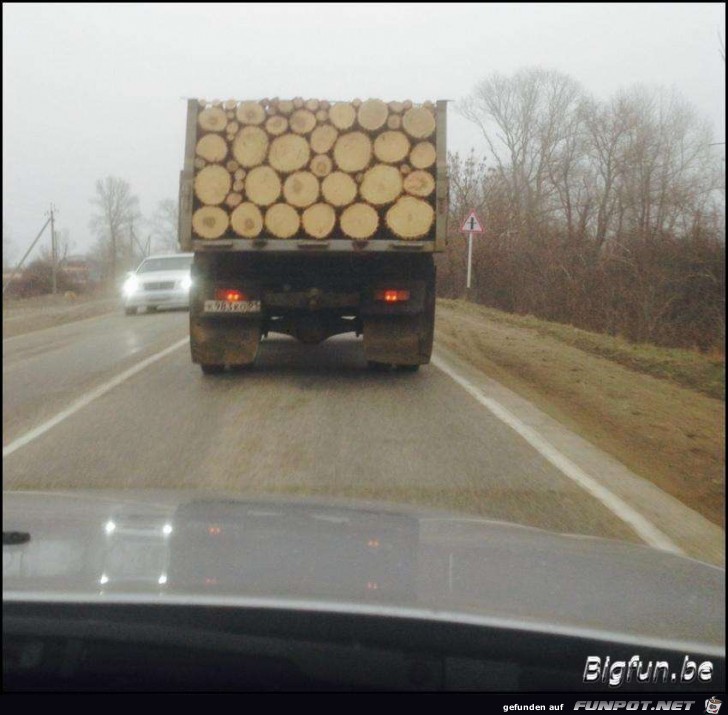 Holz-Transporter