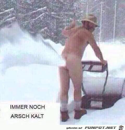 Kalt Kalt