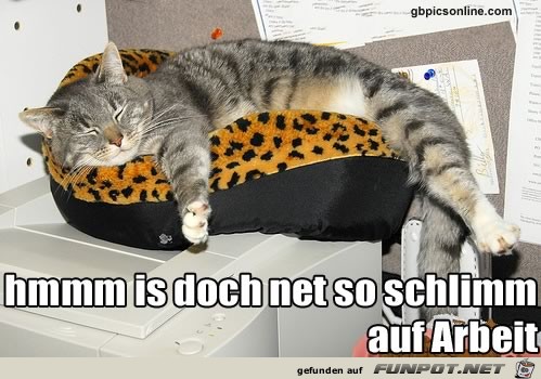 hhhmmmm is doch net so schlimm