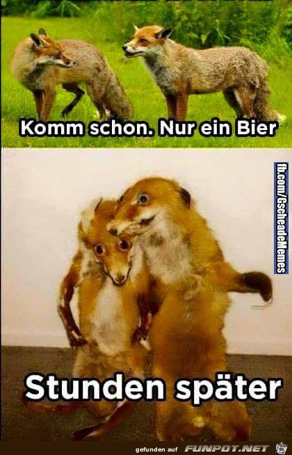 Komm schon