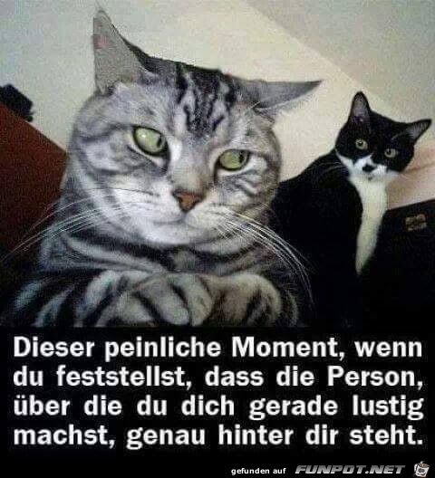 Dieser peinliche Moment