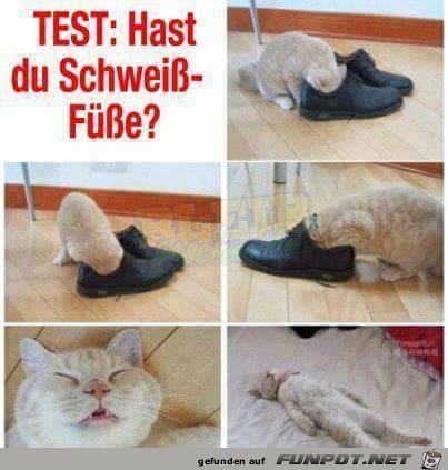 Hast Du Hast Du