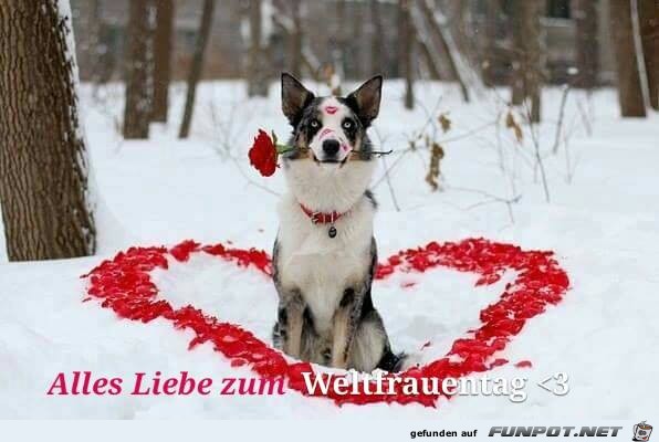 Alles Liebe