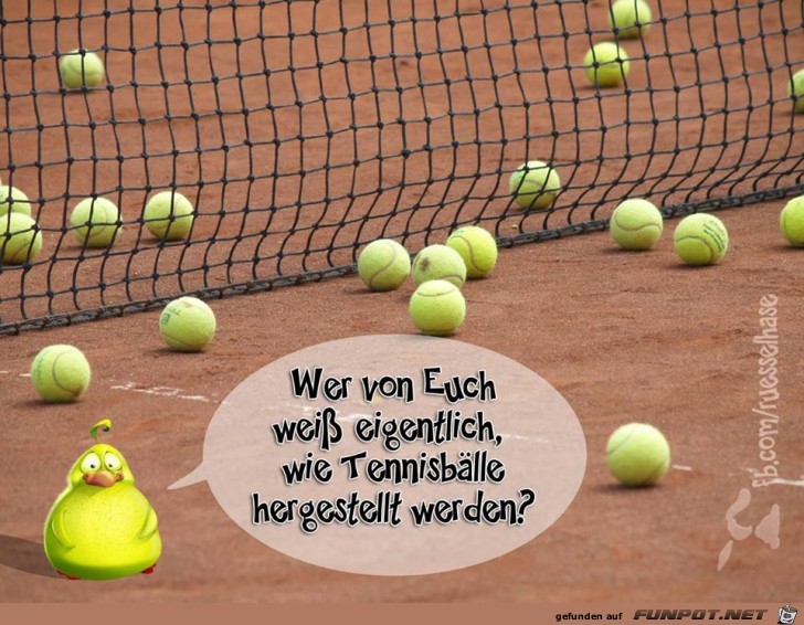 Tennisbälle Tennisbälle