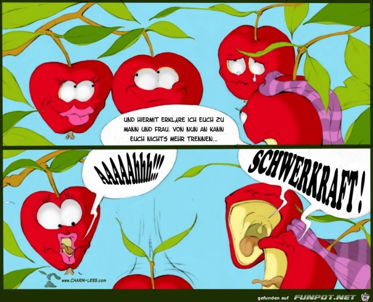 Schwerkraft Schwerkraft