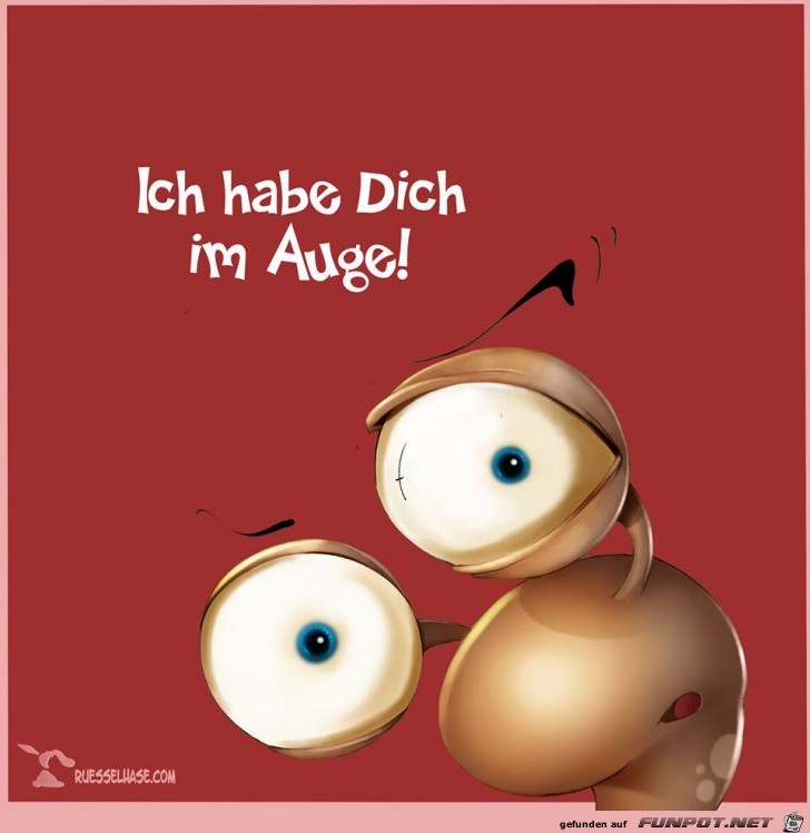 Im Auge Im Auge