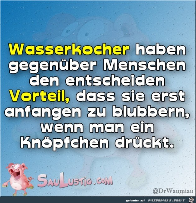 Wasserkocher-haben-einen-Vorteil Wasserkocher-haben-einen-Vorteil