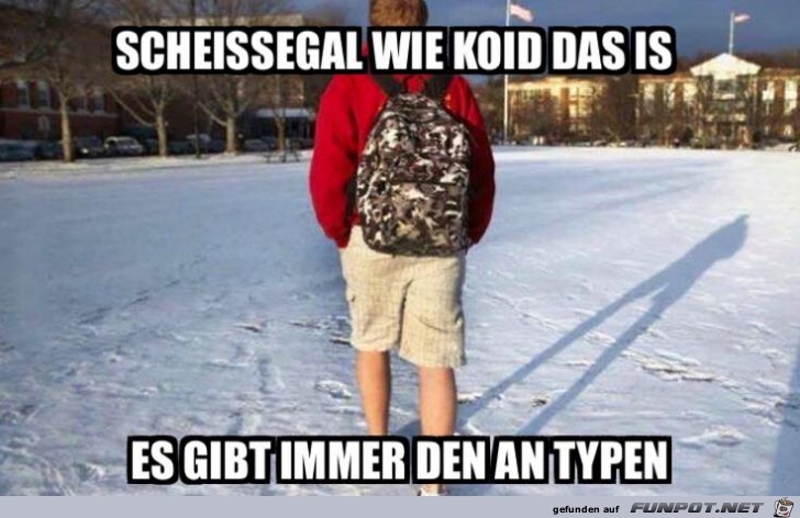 Scheissegal Scheissegal