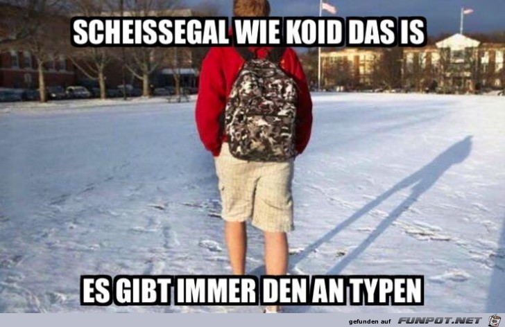 Scheissegal