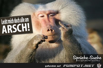 pavian-leckt-mich-doch-alle-am-arsch pavian-leckt-mich-doch-alle-am-arsch