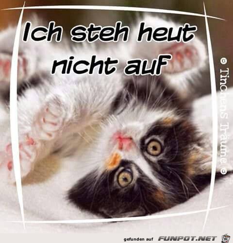 Ich steh heut Ich steh heut