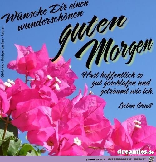 guten morgen guten morgen