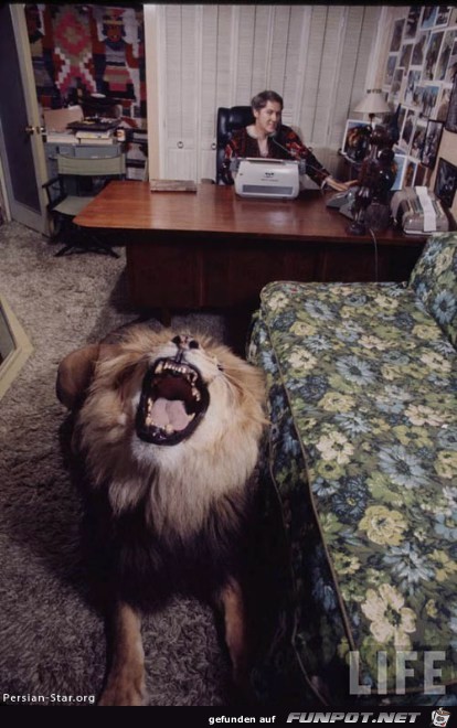 image005 jpg image005 jpg