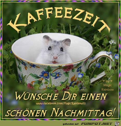 nachmittag nachmittag