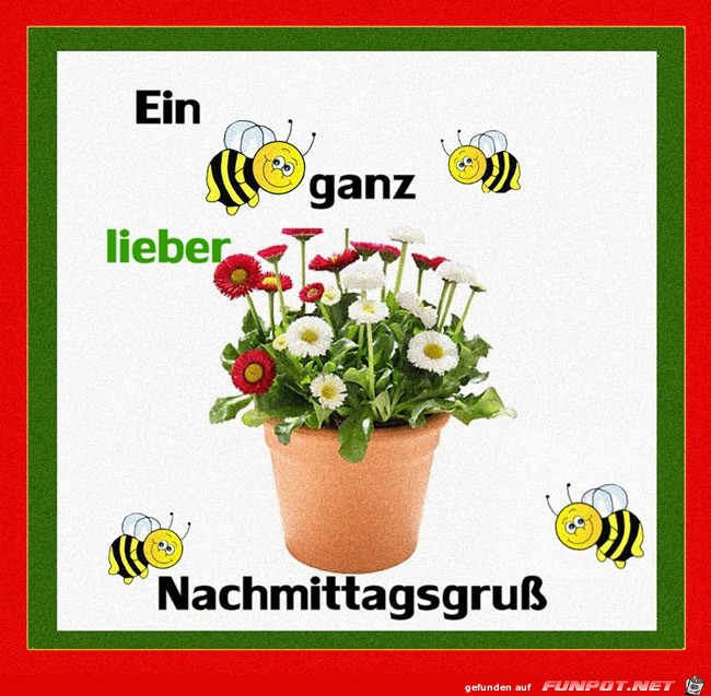 nachmittag nachmittag