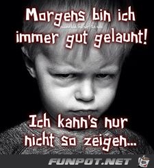 morgens morgens