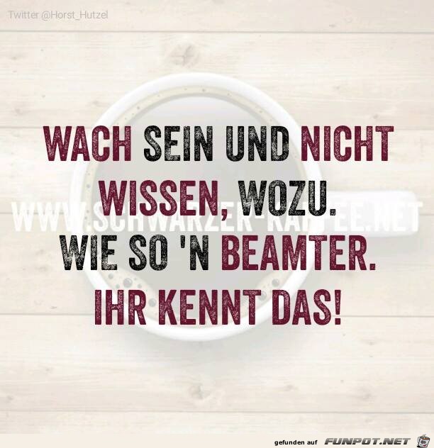 Wach sein Wach sein