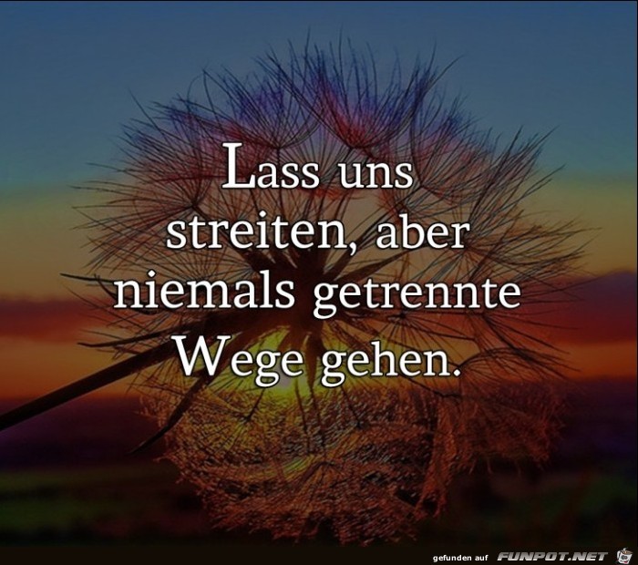 streiten streiten