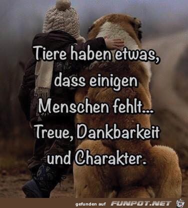 Tiere haben etwas Tiere haben etwas