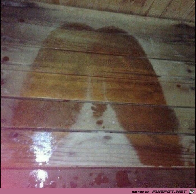 Sauna + Sauna +