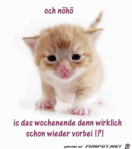 ist das Wochenende schon vorbei ist das Wochenende schon vorbei