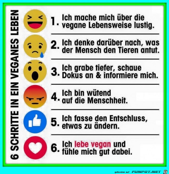 6 Schritte 6 Schritte