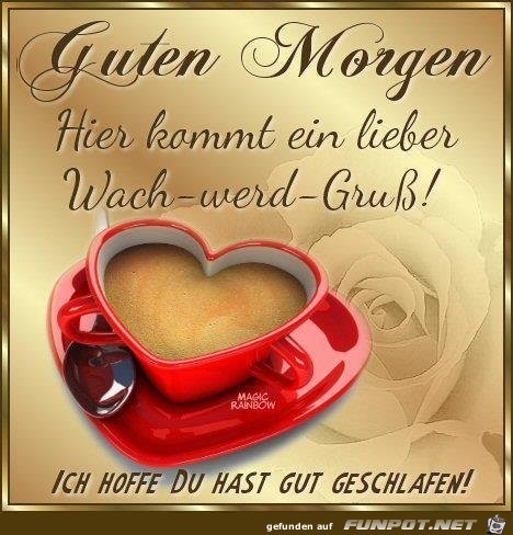 guten morgen