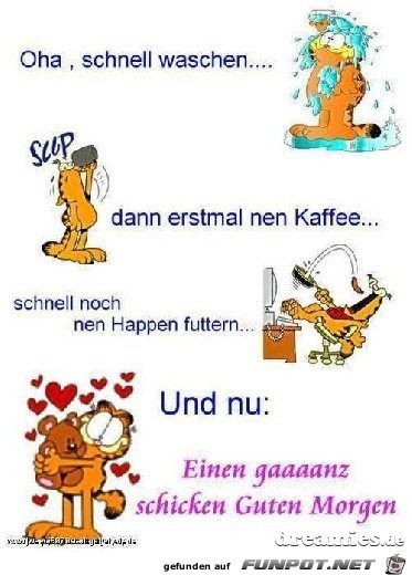 guten morgen guten morgen