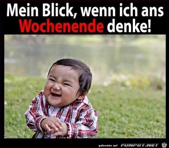 mein Blick