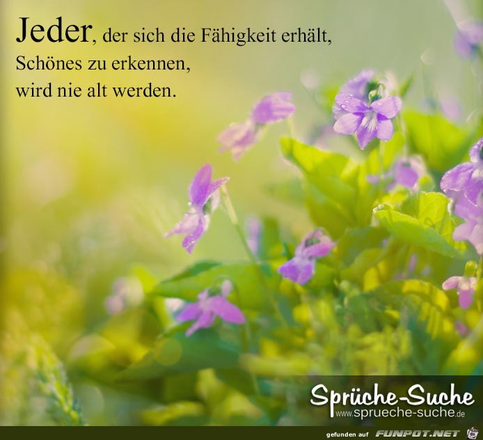 Schönes erkennen Schönes erkennen