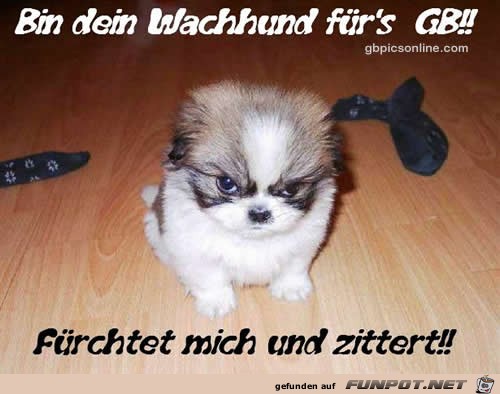 Fürchtet euch Fürchtet euch