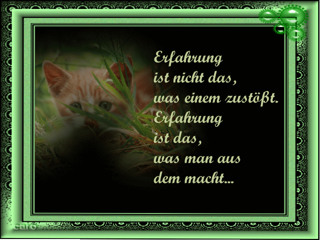 Erfahrung ist nicht das... Erfahrung ist nicht das...