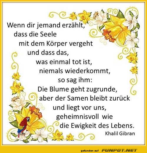 Die Ewigkeit des Lebens Die Ewigkeit des Lebens