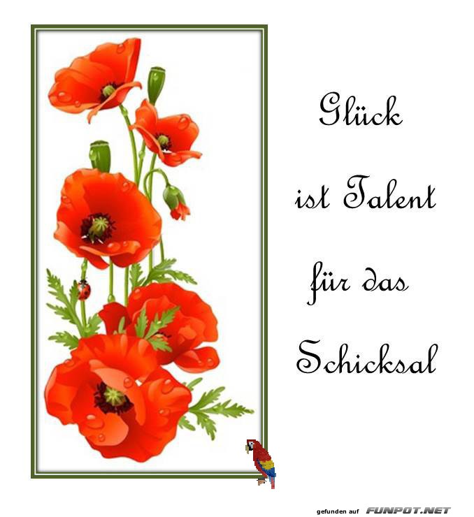 Glueck ist Talent