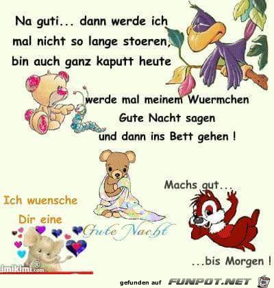 Gute Nacht Gute Nacht