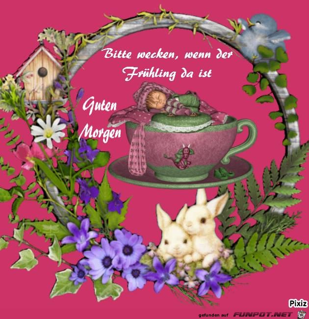 Guten Morgen Guten Morgen