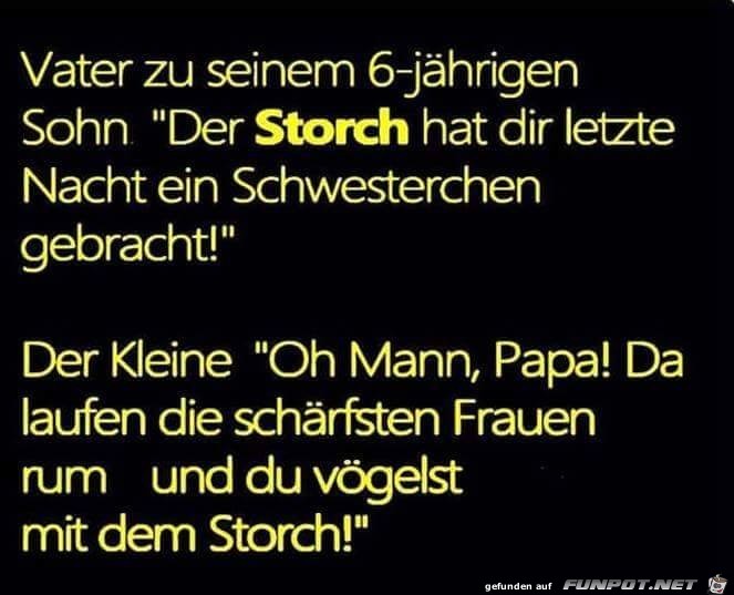 Der Storch Der Storch