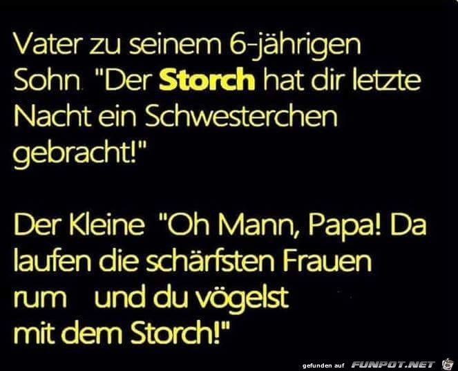 Der Storch