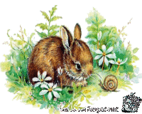 frohe-ostern frohe-ostern