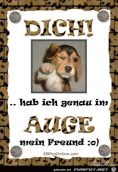 dich hab ich im Auge