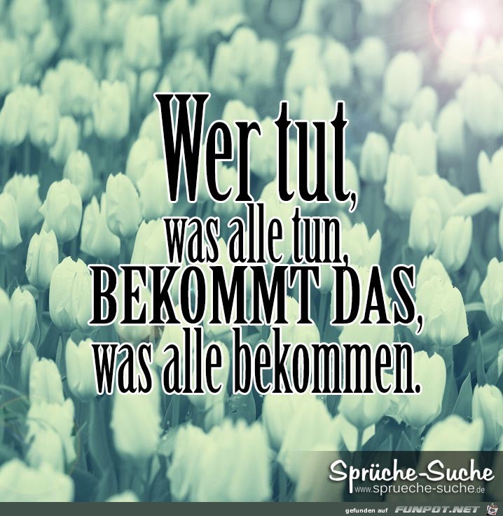 wer-tut-was-alle-tun-bekommt-das-was-alle-bekommen wer-tut-was-alle-tun-bekommt-das-was-alle-bekommen